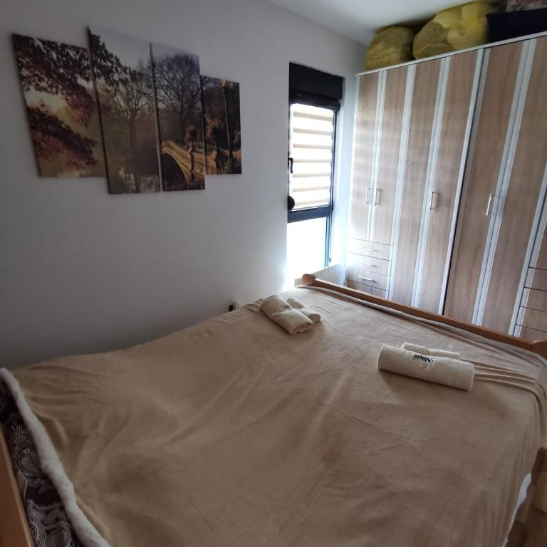 Apartman NINA Bombonjera - Apartman sa Terasom - 18