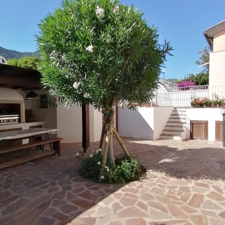 Casa vacanze Villa Rosa - Appartamento - 34
