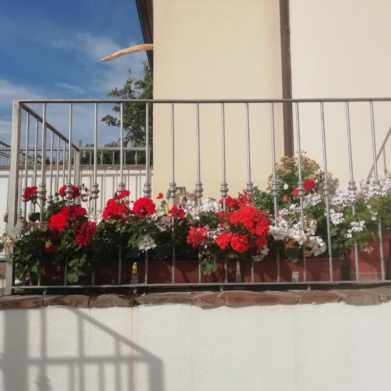 Casa vacanze Villa Rosa - Appartamento - 10