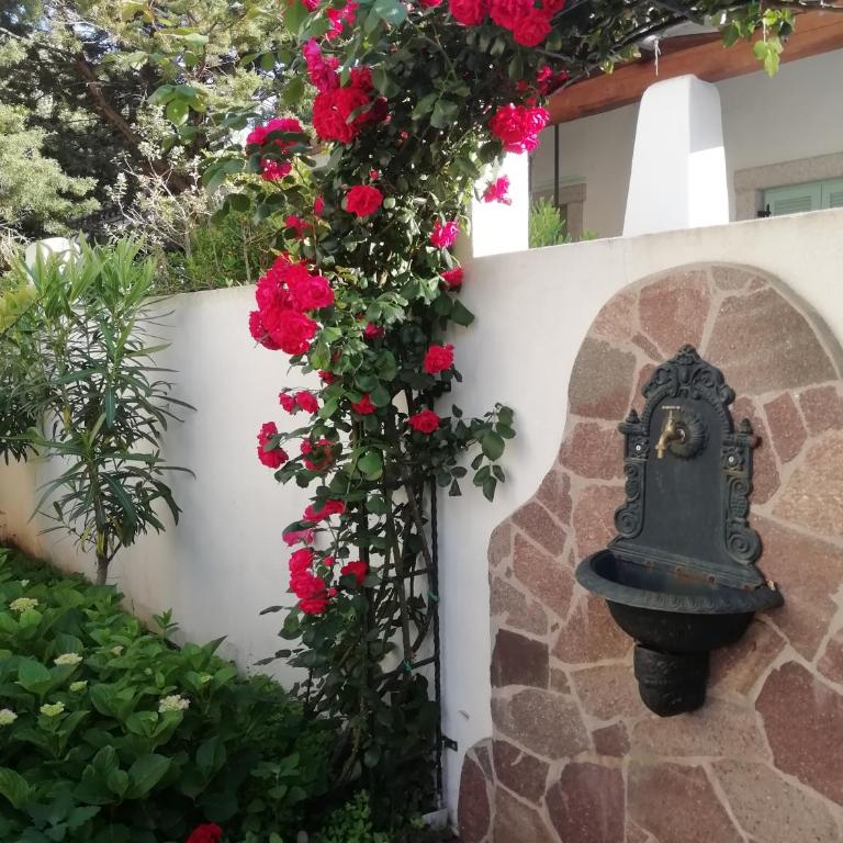 Casa vacanze Villa Rosa - Appartamento - 9