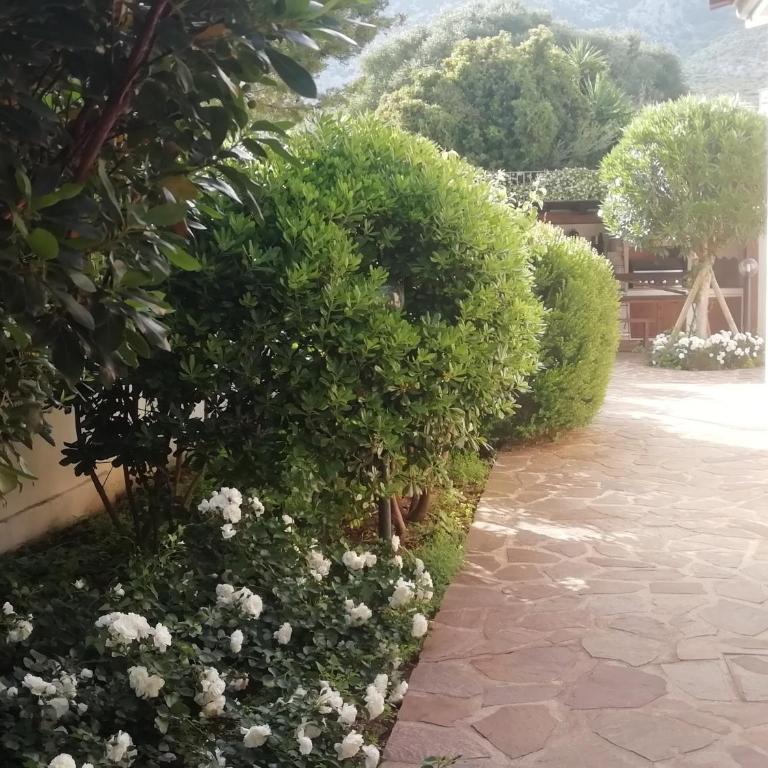 Casa vacanze Villa Rosa - Appartamento - 7