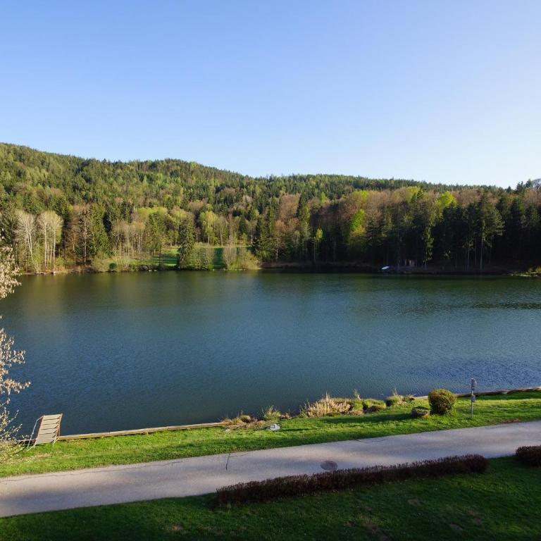 Landgasthof Trattnig - Junior Suite mit Balkon - 4