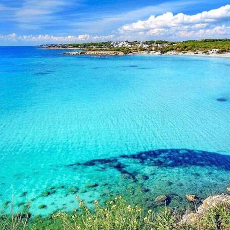 TRULLI nel cuore della Valle d’Itria con PISCINA privata - Villa con Piscina Privata - 25