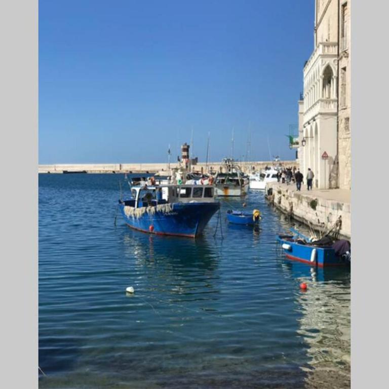 TRULLI nel cuore della Valle d’Itria con PISCINA privata - Villa con Piscina Privata - 52