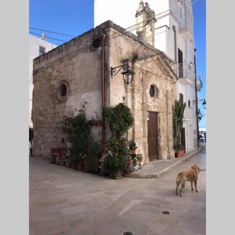 TRULLI nel cuore della Valle d’Itria con PISCINA privata - Villa con Piscina Privata - 53