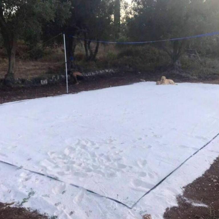 TRULLI nel cuore della Valle d’Itria con PISCINA privata - Villa con Piscina Privata - 59