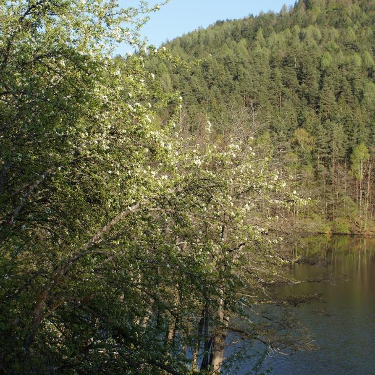 Landgasthof Trattnig - Doppelzimmer - 2