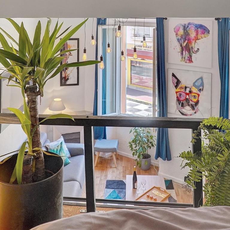 le Clem - 100m des plages - Suquet - Verrière Côte d’Azur - Appartement 1 Chambre - 29