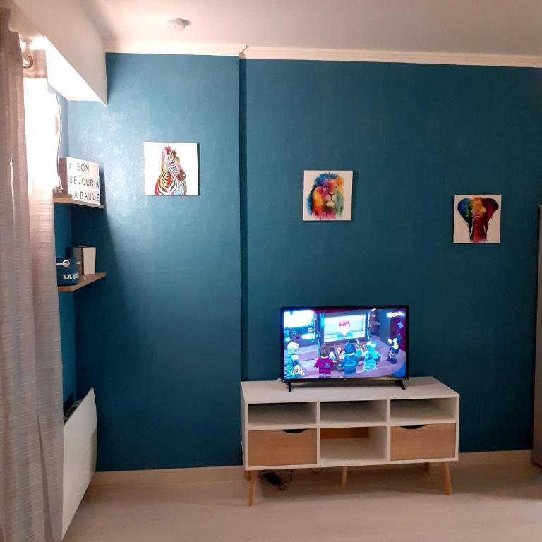 Studio Centre - Tout Confort - Tout à pied - Estudio con sofá cama - 16