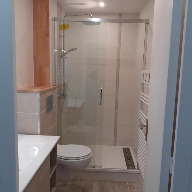 Studio Centre - Tout Confort - Tout à pied - Estudio con sofá cama - 11