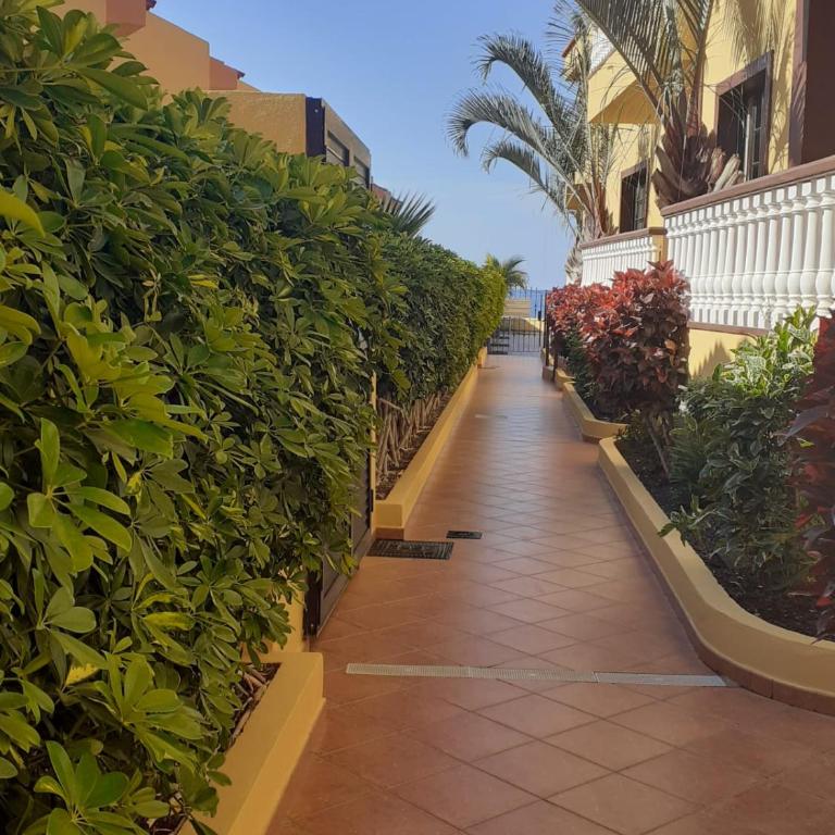 SUNSET HOUSE EL Cieno 10A - Apartamento de 1 dormitorio - 5