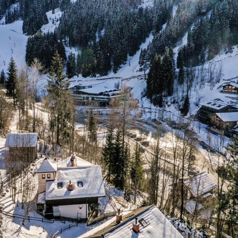 Alpin Chalets Wagrain - Two-Bedroom Apartment - 19