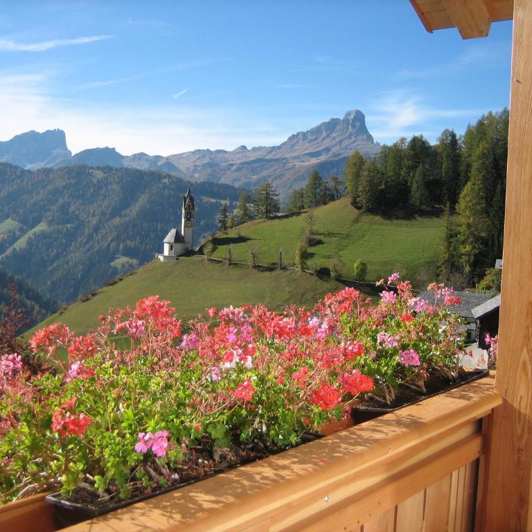 Agriturismo Tolpei - Appartamento con 1 Camera da Letto e Balcone - 15