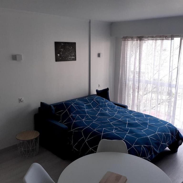 Studio Centre - Tout Confort - Tout à pied - Estudio con sofá cama - 19