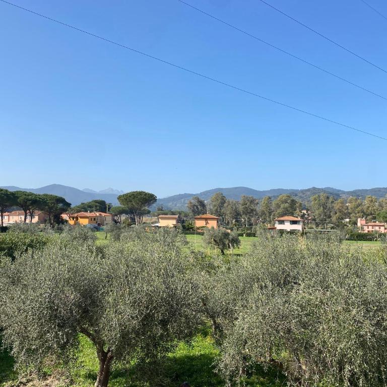 RESIDENCE TERME ISOLA D'ELBA SRL - Appartamento Standard - 4