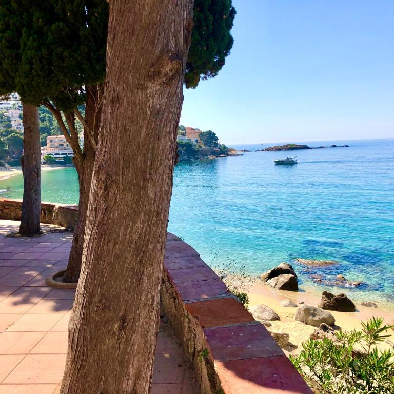 Magnifique appartement en front de mer, Caneylles - Apartamento de 2 dormitorios - 25