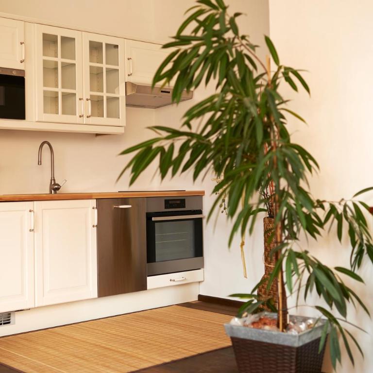 Frühstückspension Kleinschuster - Appartement 2 Chambres - 12