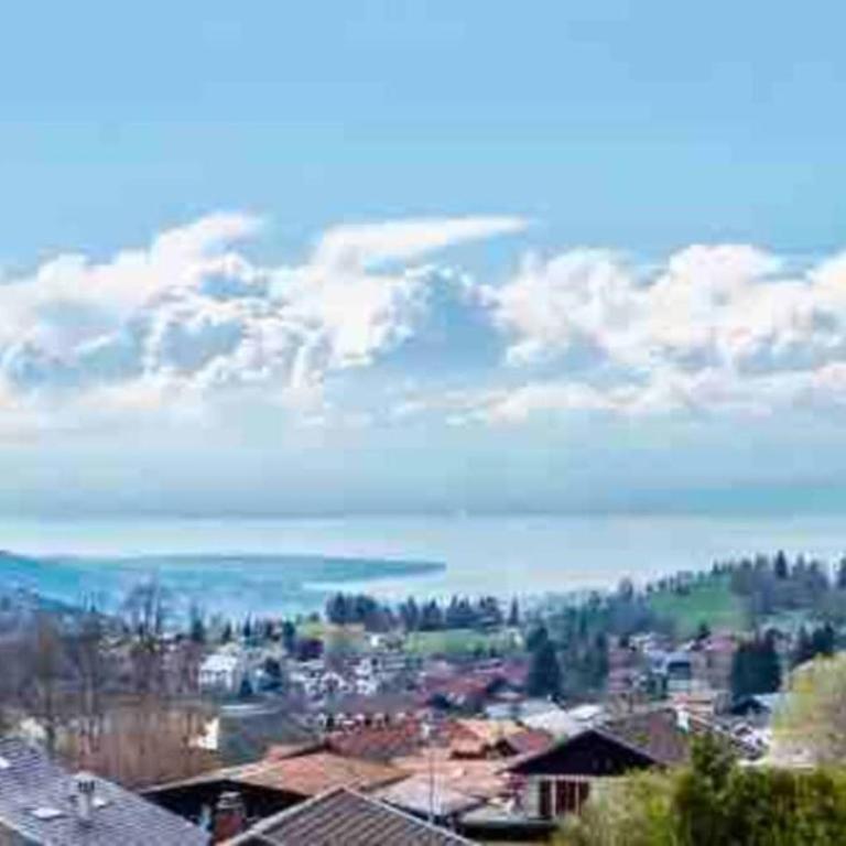 Duplex en station vue sur lac Leman - Appartement - Vue sur Lac - 13