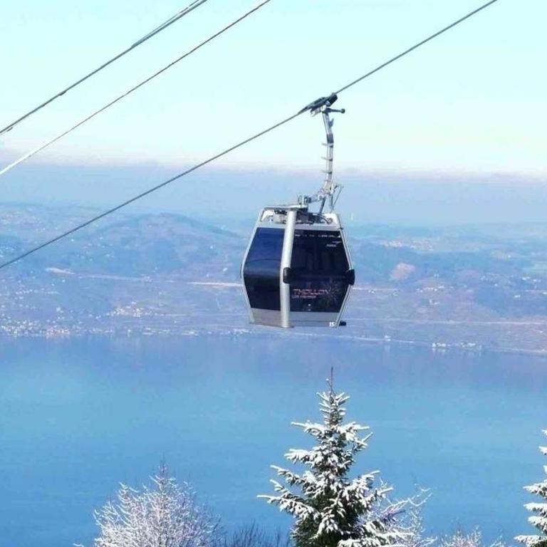 Duplex en station vue sur lac Leman - Appartement - Vue sur Lac - 16