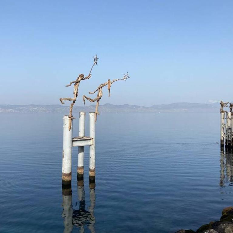 Duplex en station vue sur lac Leman - Appartement - Vue sur Lac - 24