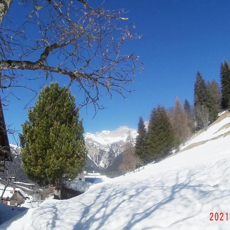Piccola Stella Alpina - Appartamento con 1 Camera da Letto - 28