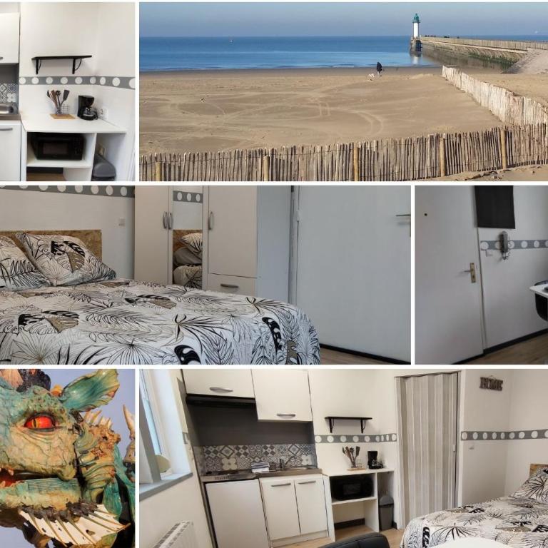 Studio éco proche du phare - Appartement 1 Chambre - 2