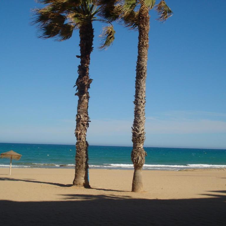 Luxury appartement 2c La Mata 50m from the sea - Apartamento de 2 dormitorios - 7