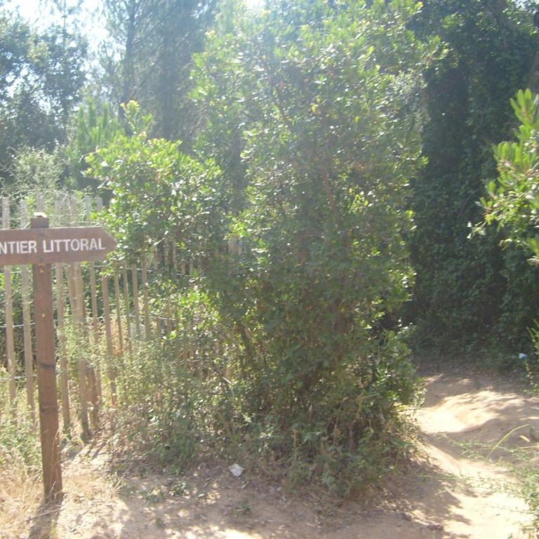 Les Romarins - Villa - 40