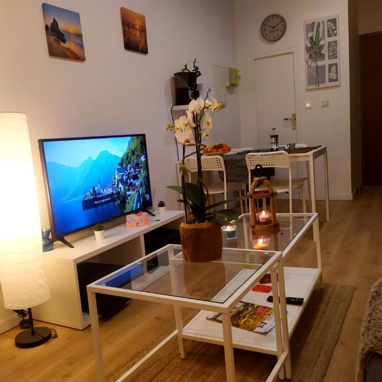 Private Independant flat - Lourdes city center - 2 Balconies - Appartamento con 1 Camera da Letto - 8