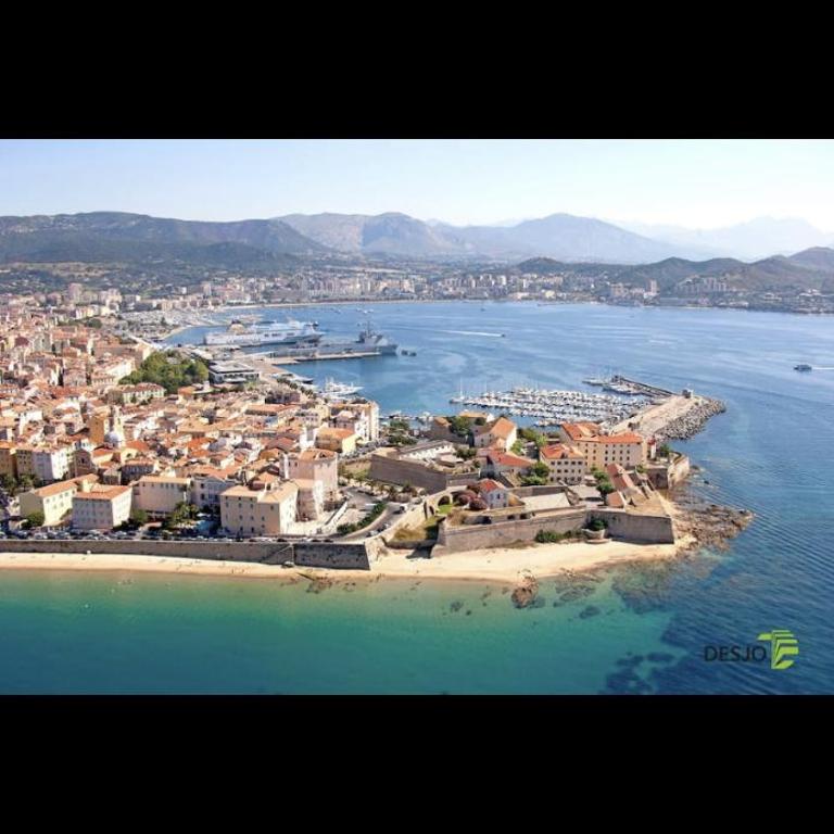 Ajaccio Magnifique T2 45m2 neuf 5 personnes Clim wifi stationnement gratuit centre ville plage à 300m - Apartment mit 1 Schlafzimmer - 21