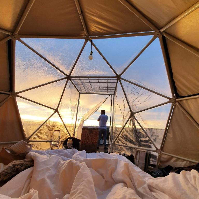 Glamping La Montaña Sagrada - Tent - 1