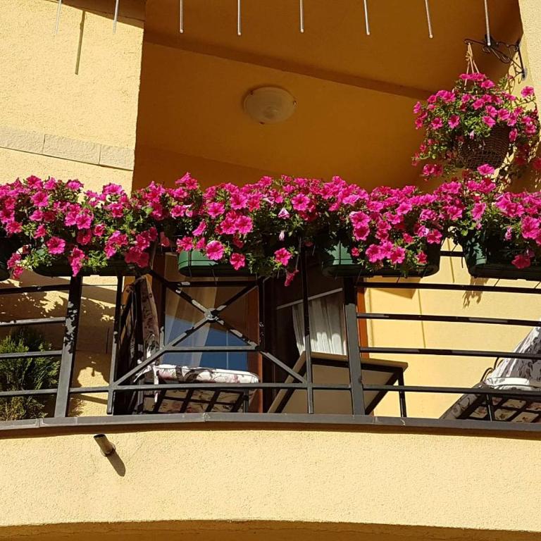 Studio Apartman Nevena - Studio Apartman - 8