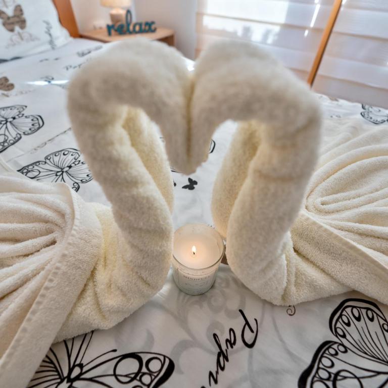 Apartman Aroma Lux 25 - Apartman sa 1 Spavaćom Sobom - 11