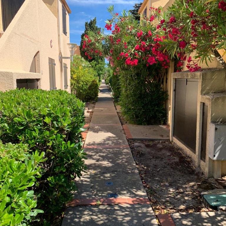T2 bis terrasse PORT LEUCATE - Two-Bedroom Apartment - 27