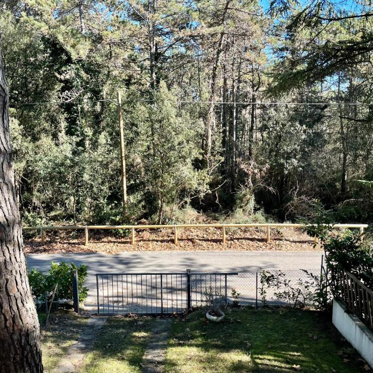 Villa Antonietta 3, tra pineta e mare - Appartamento con 2 Camere da Letto - 16