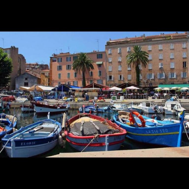 Ajaccio Magnifique T2 45m2 neuf 5 personnes Clim wifi stationnement gratuit centre ville plage à 300m - Apartment mit 1 Schlafzimmer - 24