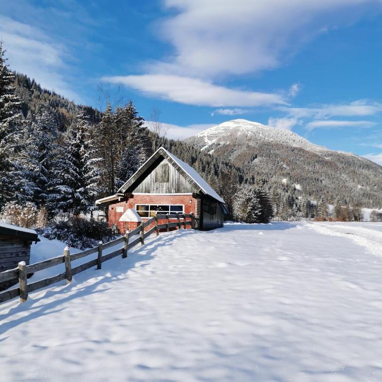 Almland Hütte - Casa con 1 Camera da Letto - 16