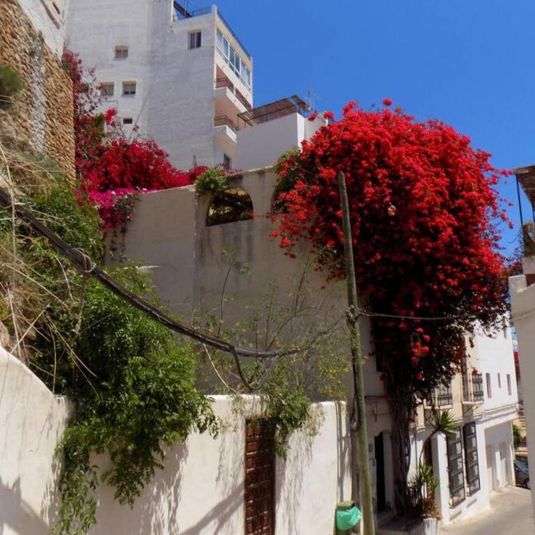 The Town House - Mojacar - Casa de 2 dormitorios - 28