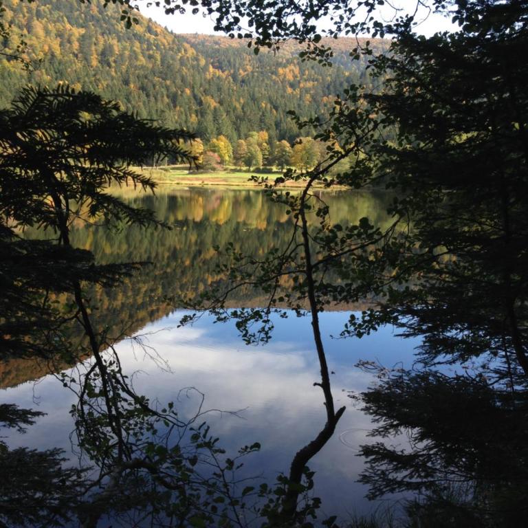 Le batelier du lac - Maison Familiale - 32