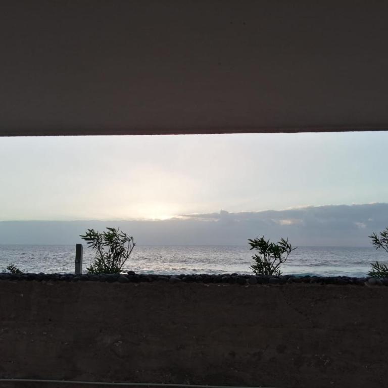 Apartamento Neptuno playa 16 - Apartamento de 1 dormitorio - 16