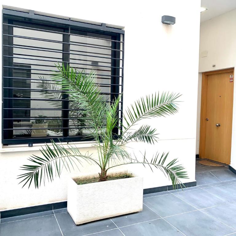 Homely Malaga Refino Loft D4 - Apartamento de 1 dormitorio - 2