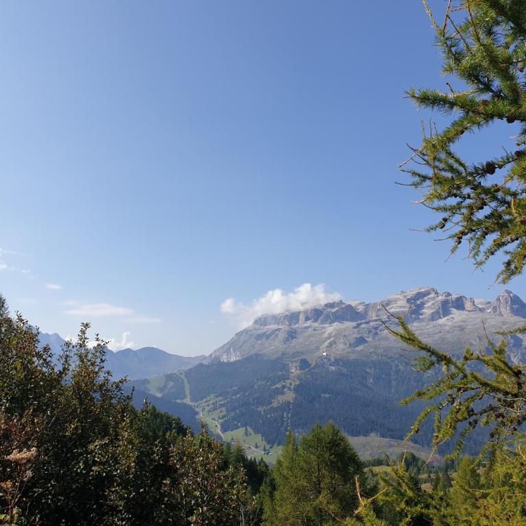 Chalet Helen - Appartamento B con 3 Camere da Letto - 3