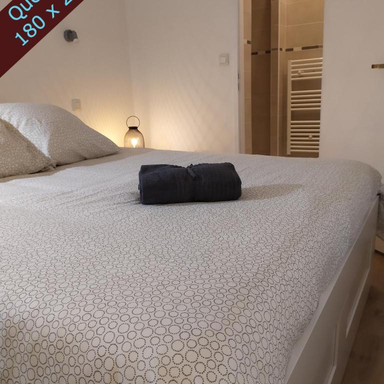 Private Independant flat - Lourdes city center - 2 Balconies - Appartamento con 1 Camera da Letto - 9