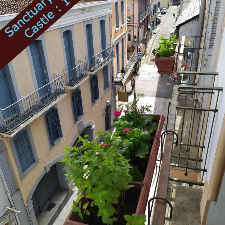 Private Independant flat - Lourdes city center - 2 Balconies - Appartamento con 1 Camera da Letto - 14