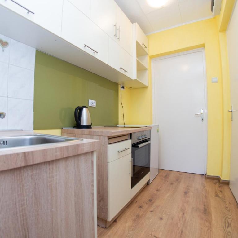 Apartment Kalemegdan - Apartman - 16