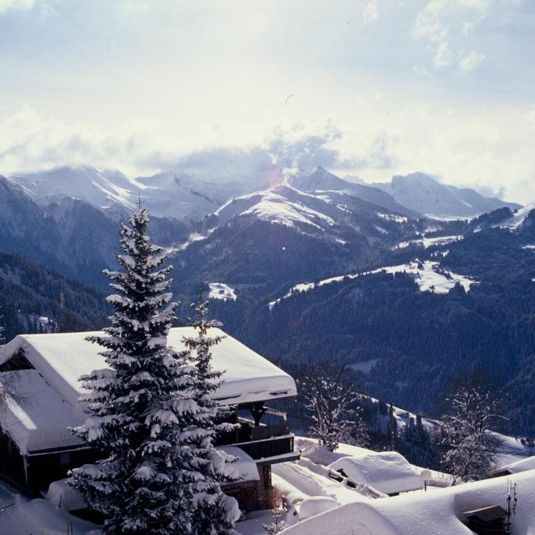 Les Chalets-Hôtel de la Croix-Fry - Suite Junior (2 Adultes) - 1