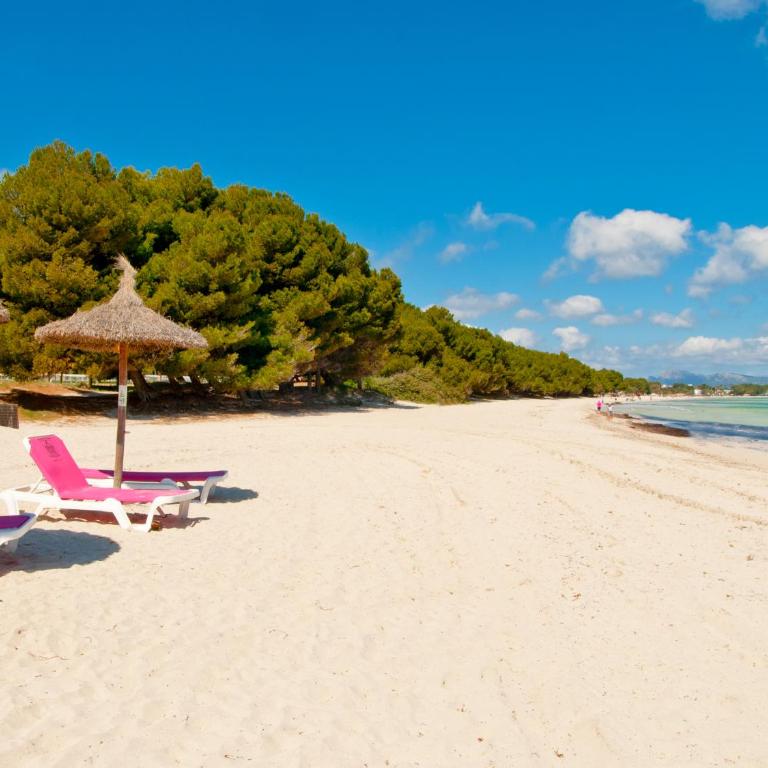 Apartment Paradise Bay 4 at Alcudia Beach, Salzes 4 - Apartamento de 3 dormitorios - 33