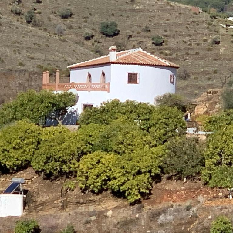 Casa Redonda - Apartamento de 2 dormitorios - 2