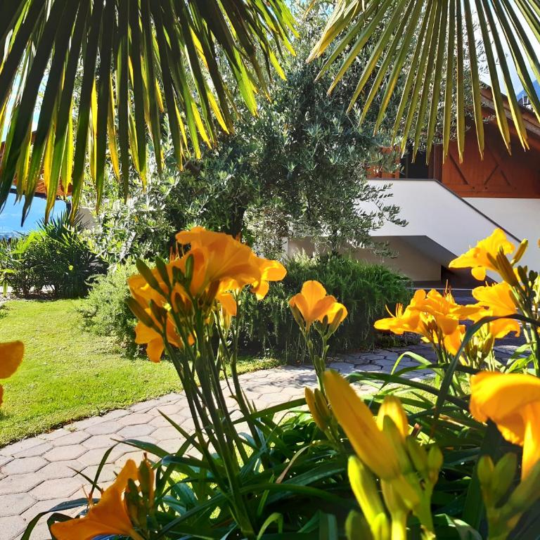 Törggelehof - Appartement avec Vue - 41