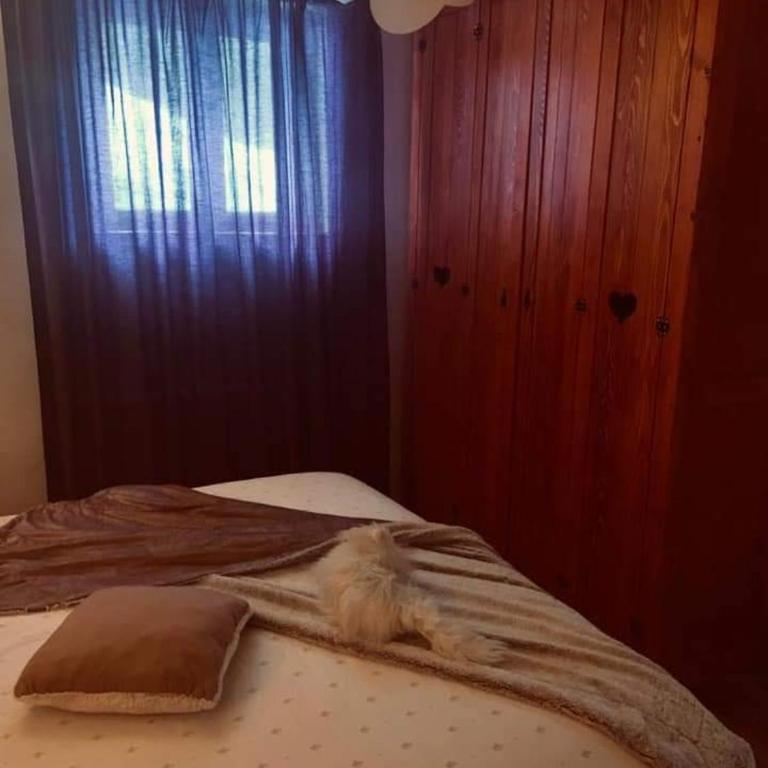 Vila Dragana - Three-Bedroom Chalet - 16
